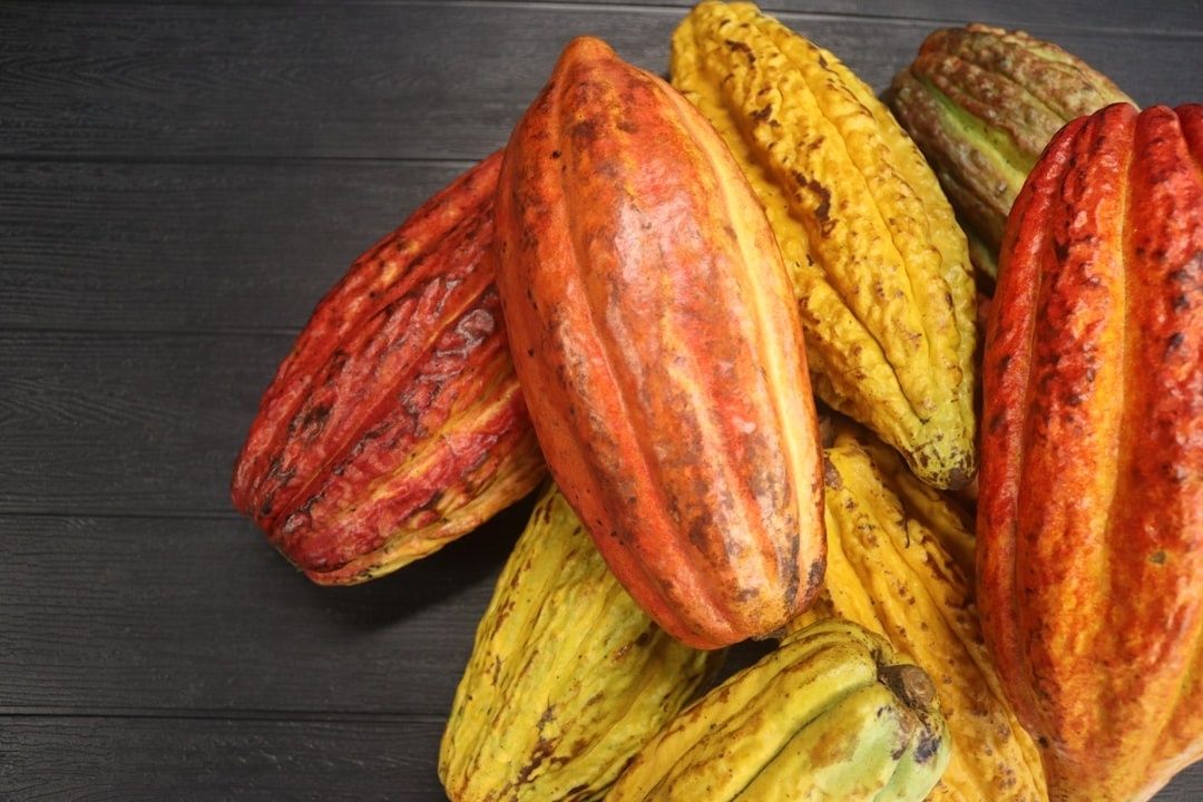 Close-up of colorful cacao pods showing varied shapes and textures